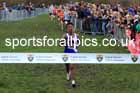 Junior Boys 2024 English Schools Cross Country Champs., Pontefract, March 16th.  Photo: David T. Hewitson/Sports for All Pics